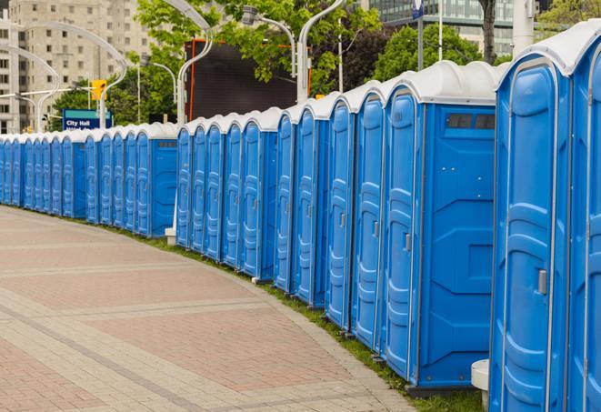 Seasonal porta potty units set up at a Fenton, Michigan venue